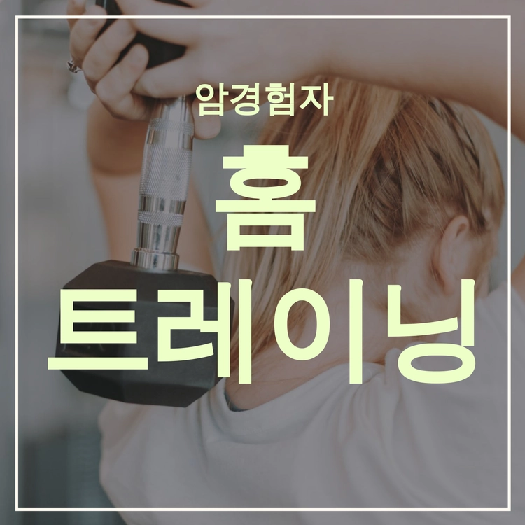 기획전 이미지