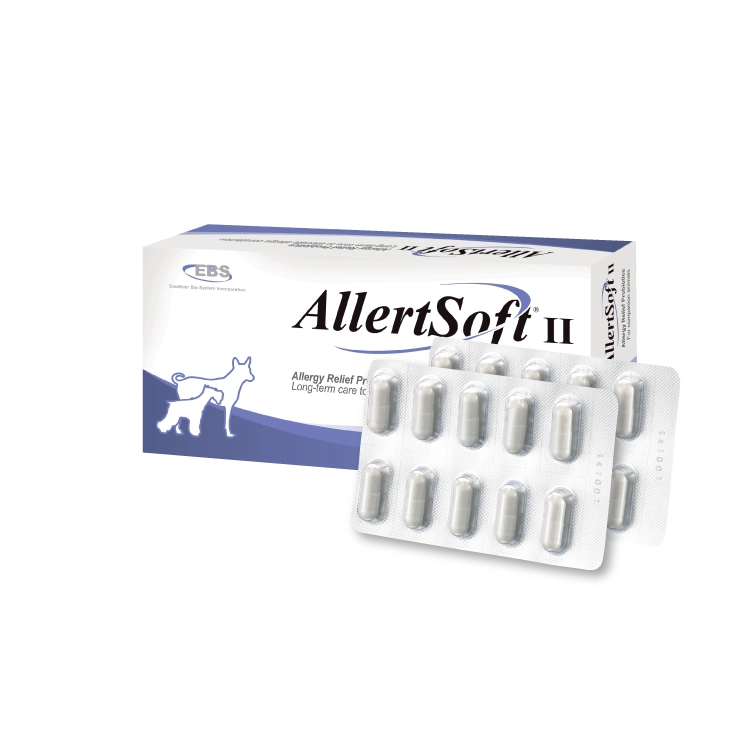 [정품]알러소프트 오리지널 Allertsoft