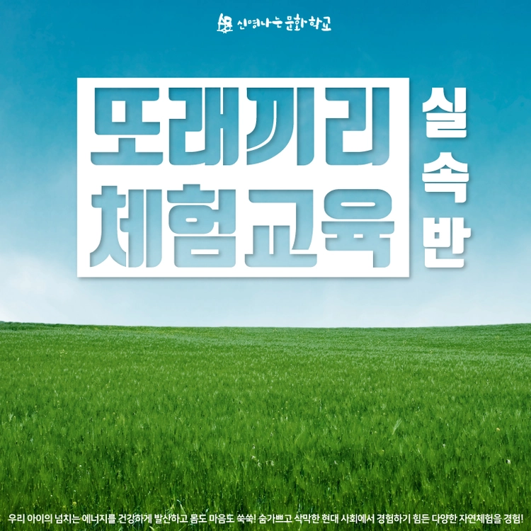 기획전 이미지