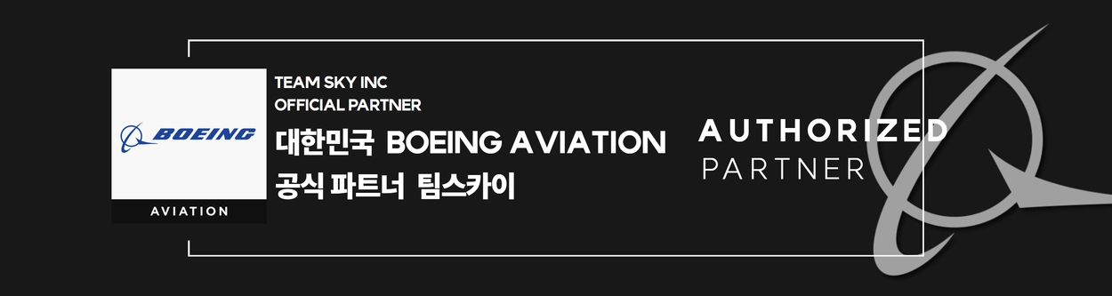 Jeppesen] Multi-Engine Textbook : 로드 투 에어