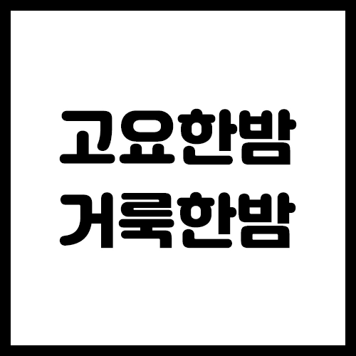 기획전 이미지