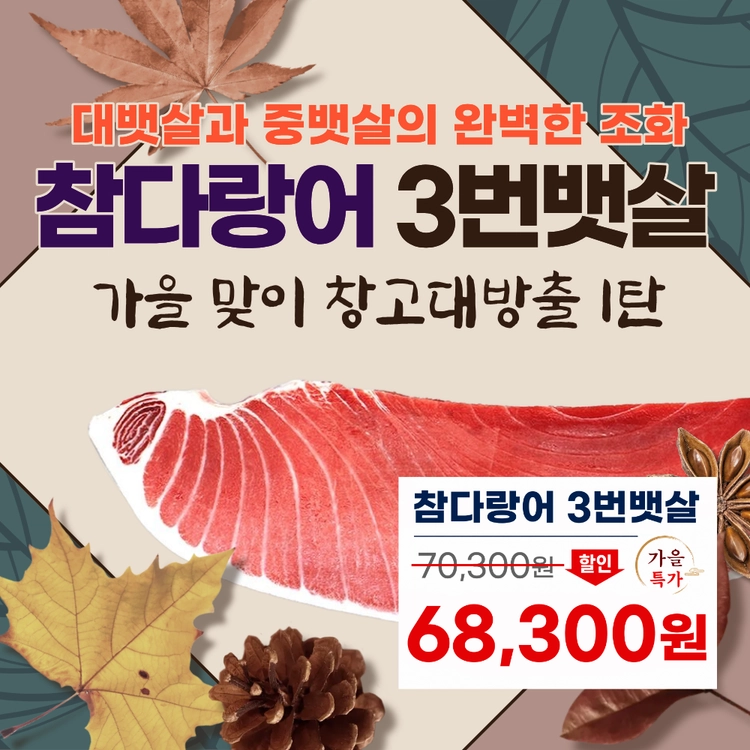 기획전 이미지