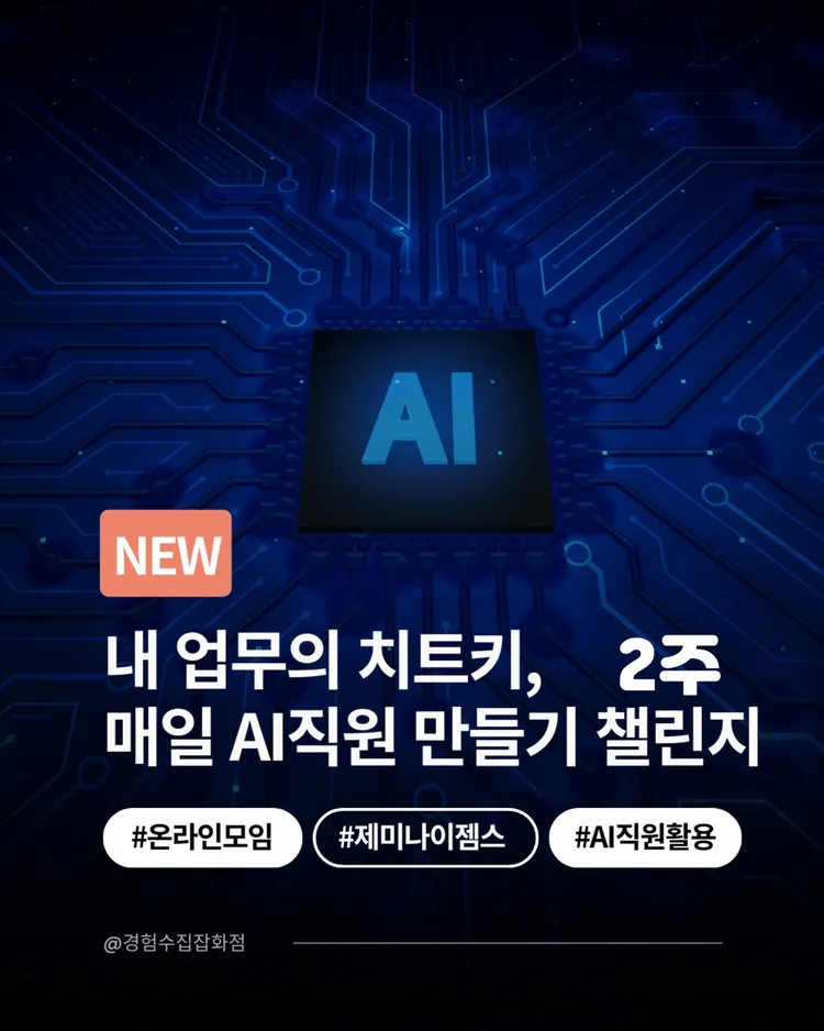 기획전 이미지