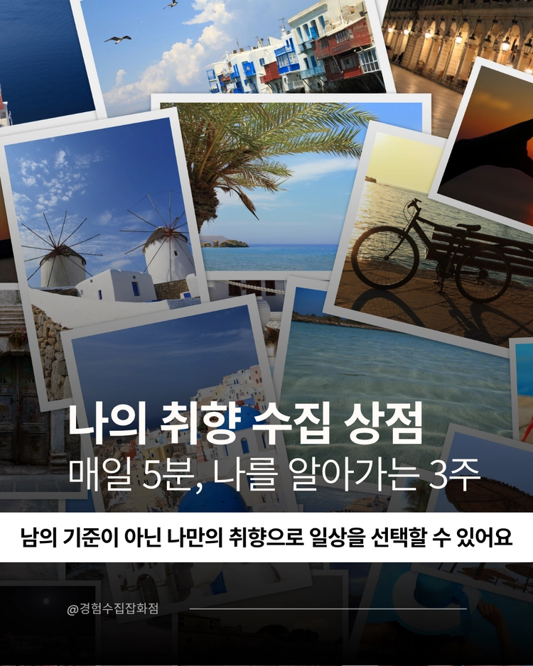 기획전 이미지