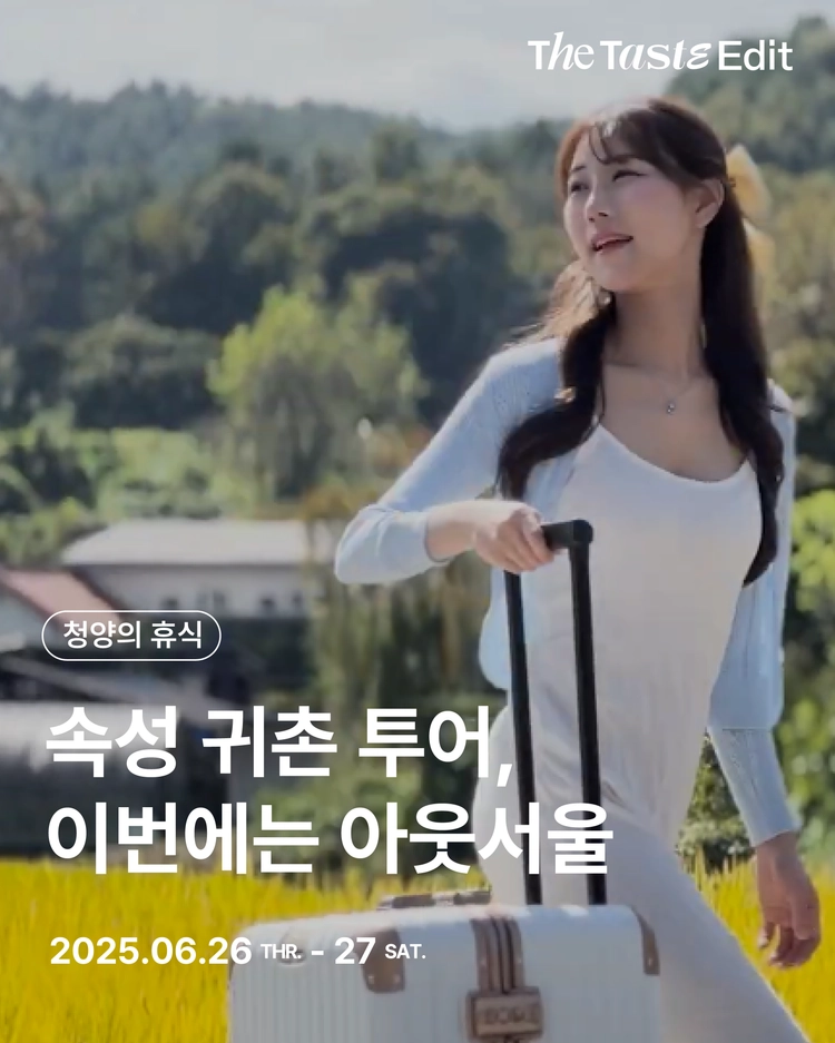 기획전 이미지