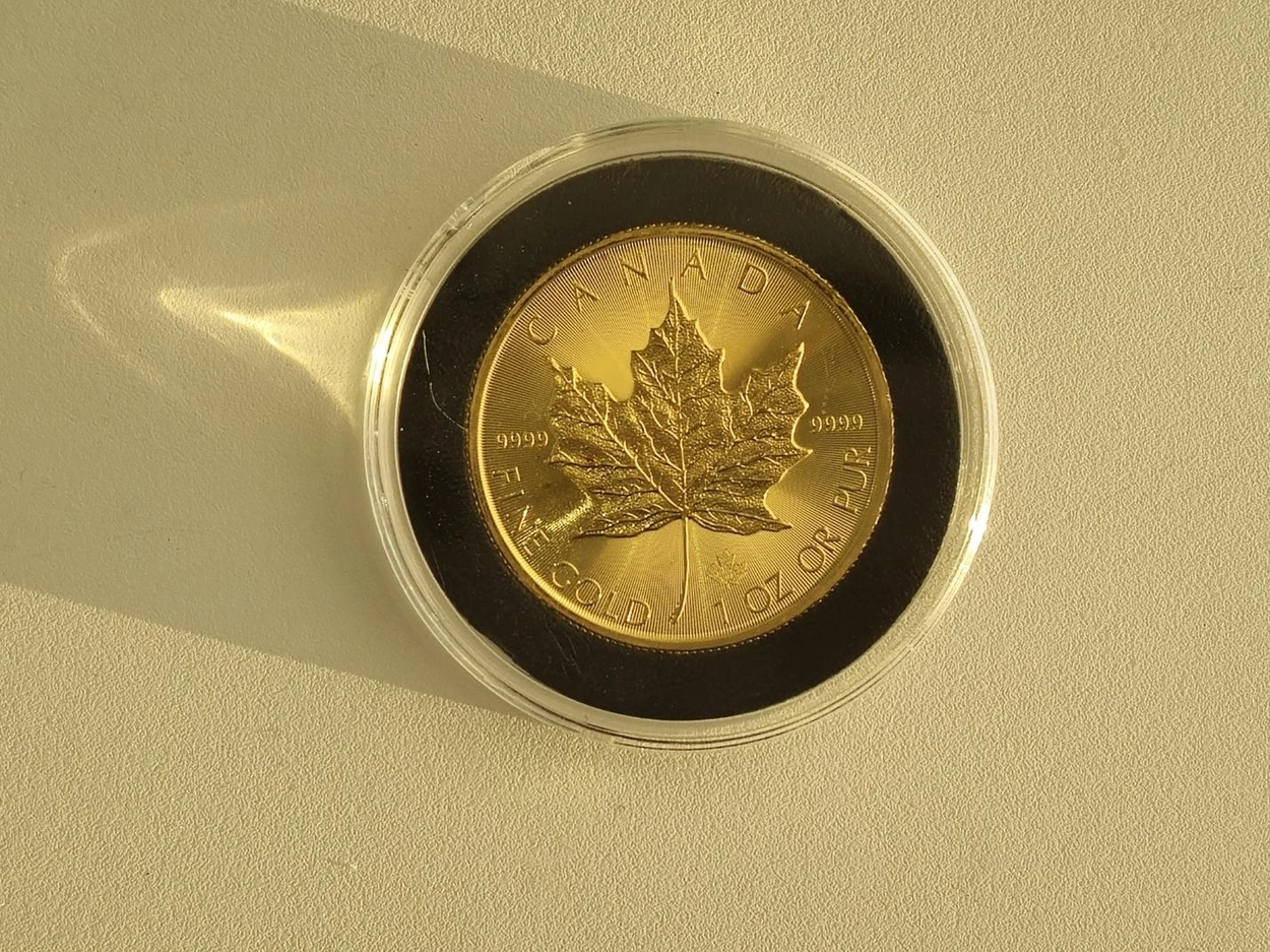 2020 1온스 골드 메이플 리프 불리온 주화(Coin) 50$(CAD) : 좋은 금, 은 싸게 사고 비싸게 팔기 (위탁매매)