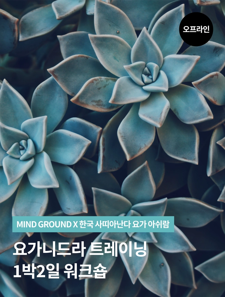 기획전 이미지