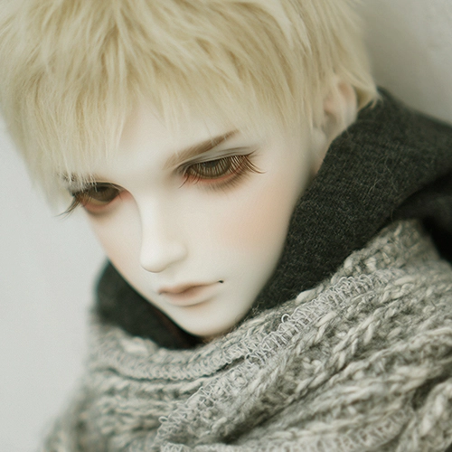 Collection image