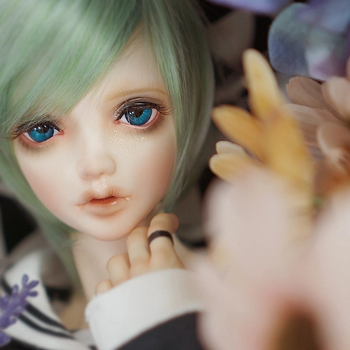 Collection image