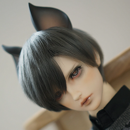 Collection image