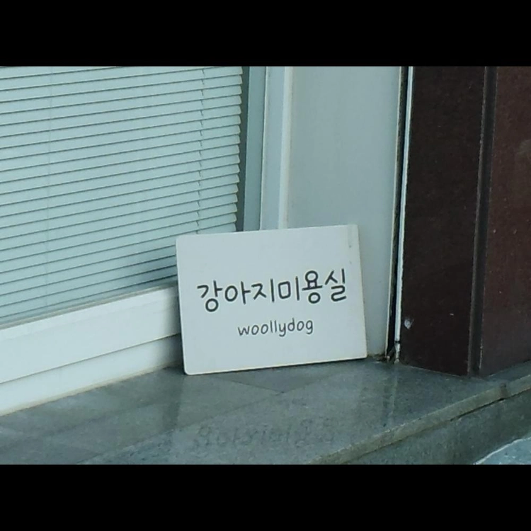 상품 이미지