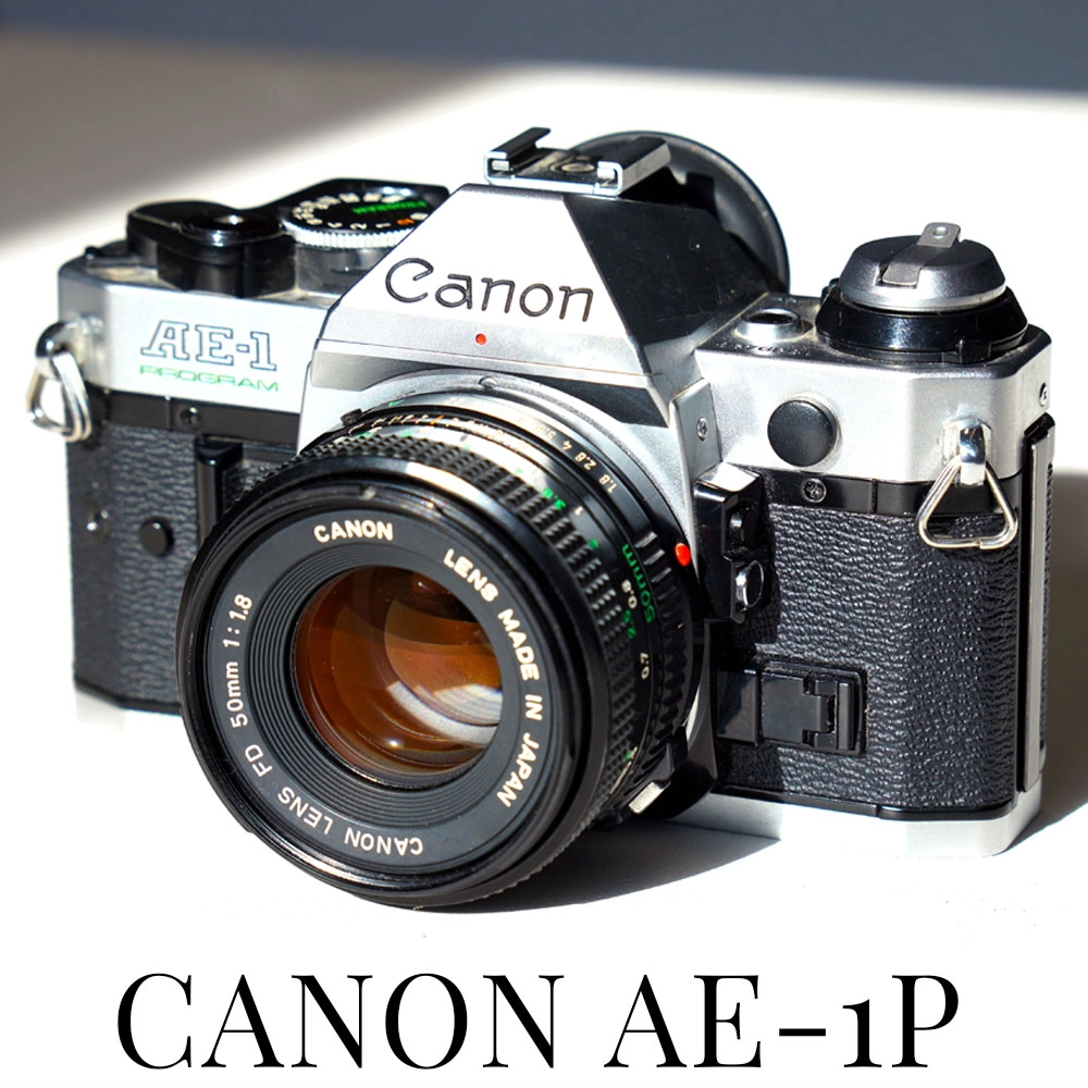 febf1e358f481.jpg?w=750