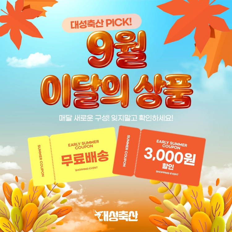기획전 이미지