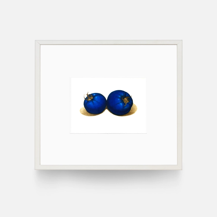 Collection image