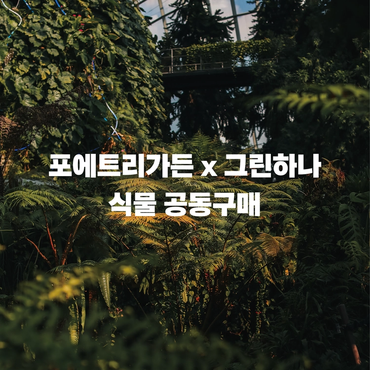 기획전 이미지