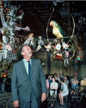 Collection image