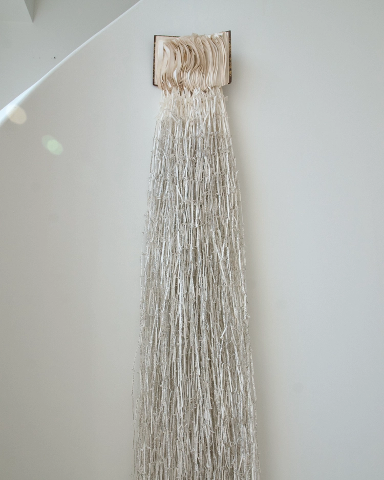 Collection image