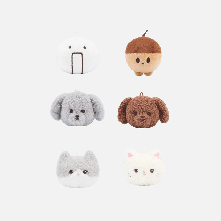 Collection image