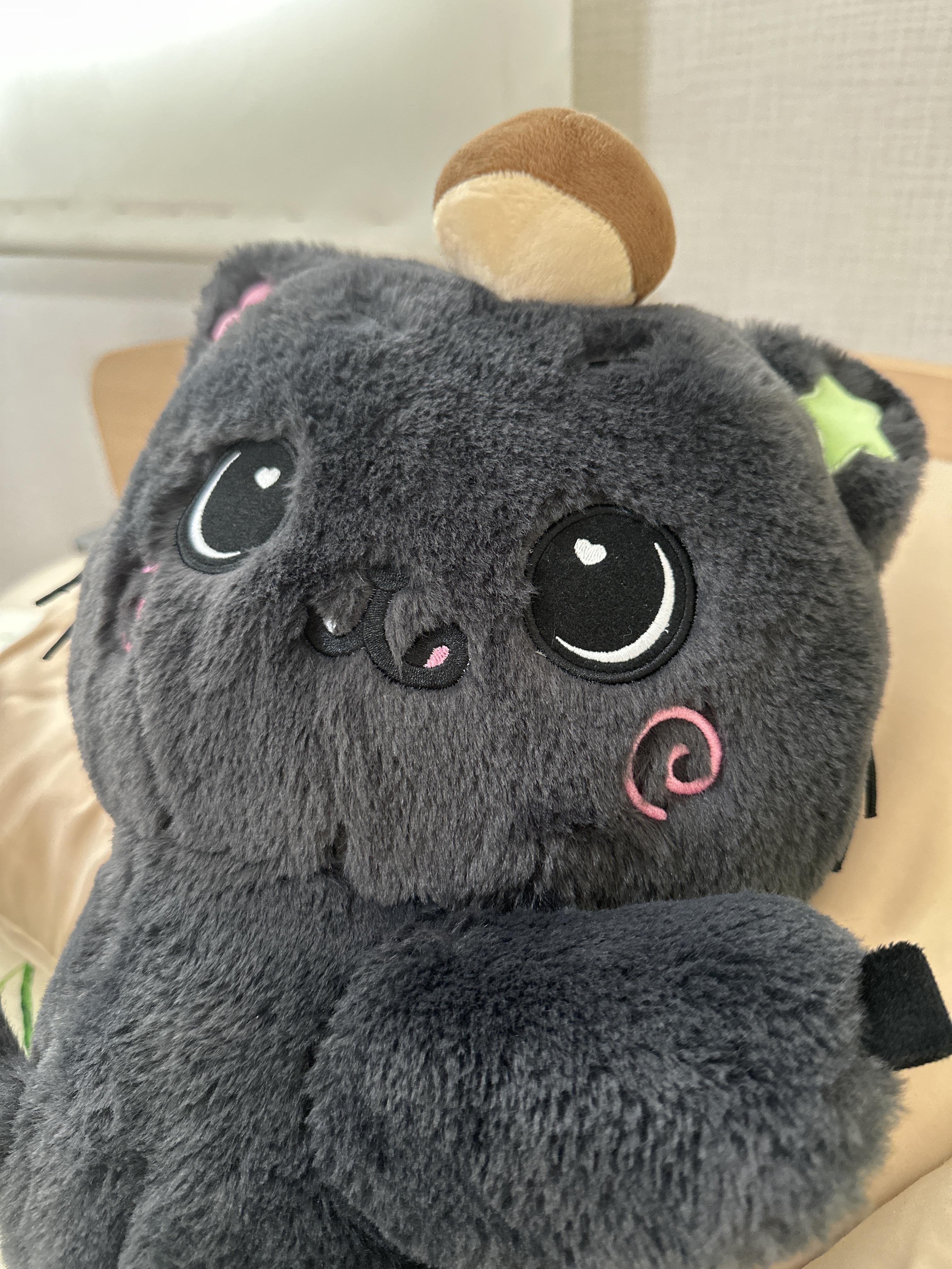 ff5288222c01b.jpg