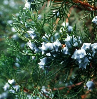 04ee737e6d0f3.jpg?w=1920