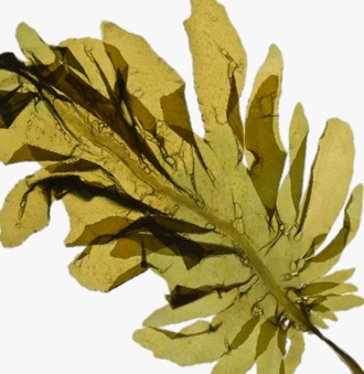 16ecb896090cc.jpg?w=1920