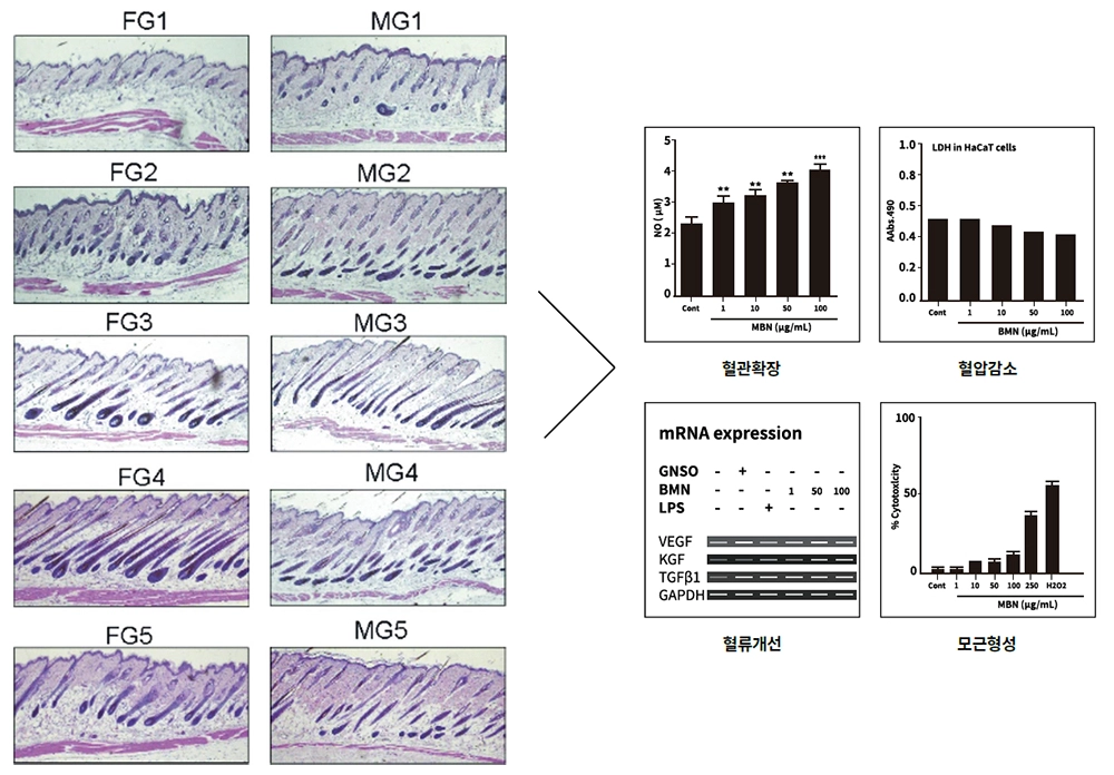 201f77e24c061.png?w=1920