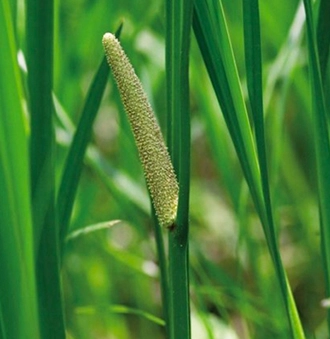 2137a3afc72c2.jpg?w=1920