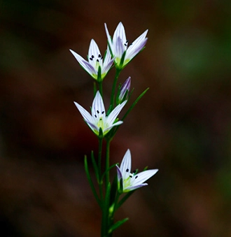 3ab434478264f.jpg?w=1920