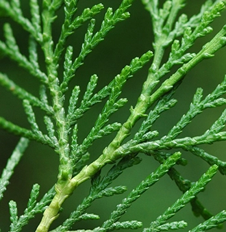 aec442171525e.jpg?w=1920