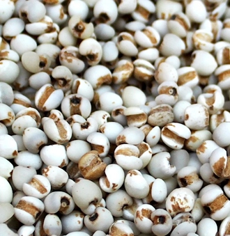 c6342f9862477.jpg?w=1920