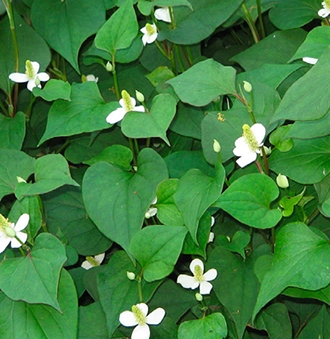 d5f2c1c9034f8.jpg?w=1920