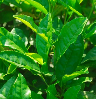 f39e8eb0beb51.jpg?w=1920