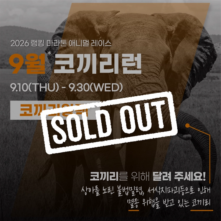 기획전 이미지