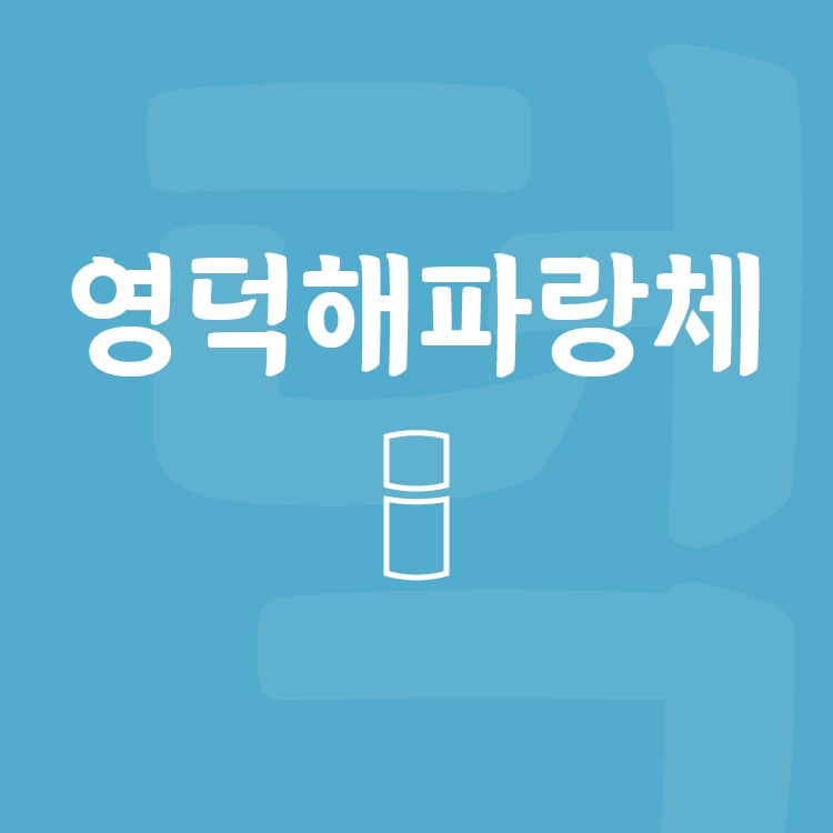 기획전 이미지