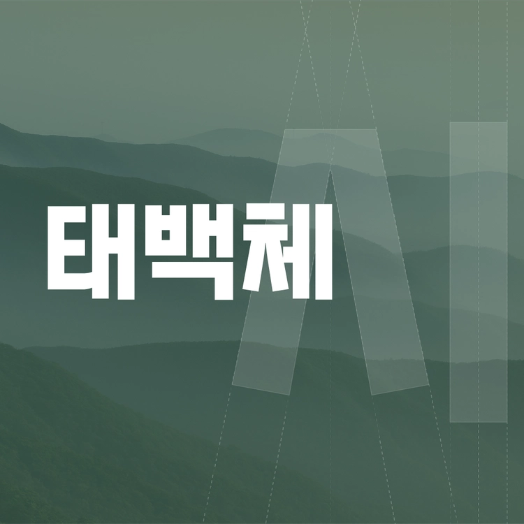기획전 이미지