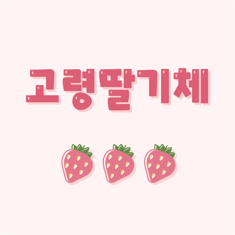 기획전 이미지