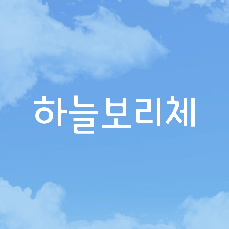 기획전 이미지