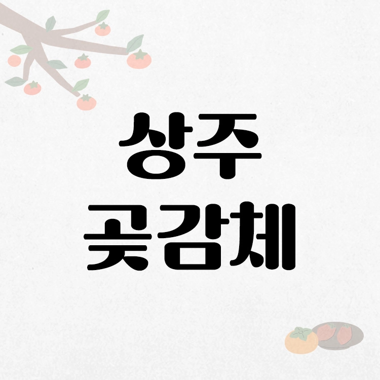 기획전 이미지