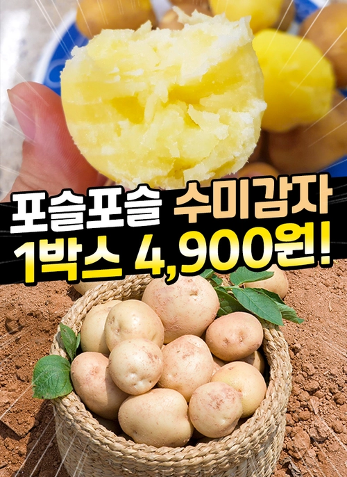 기획전 이미지