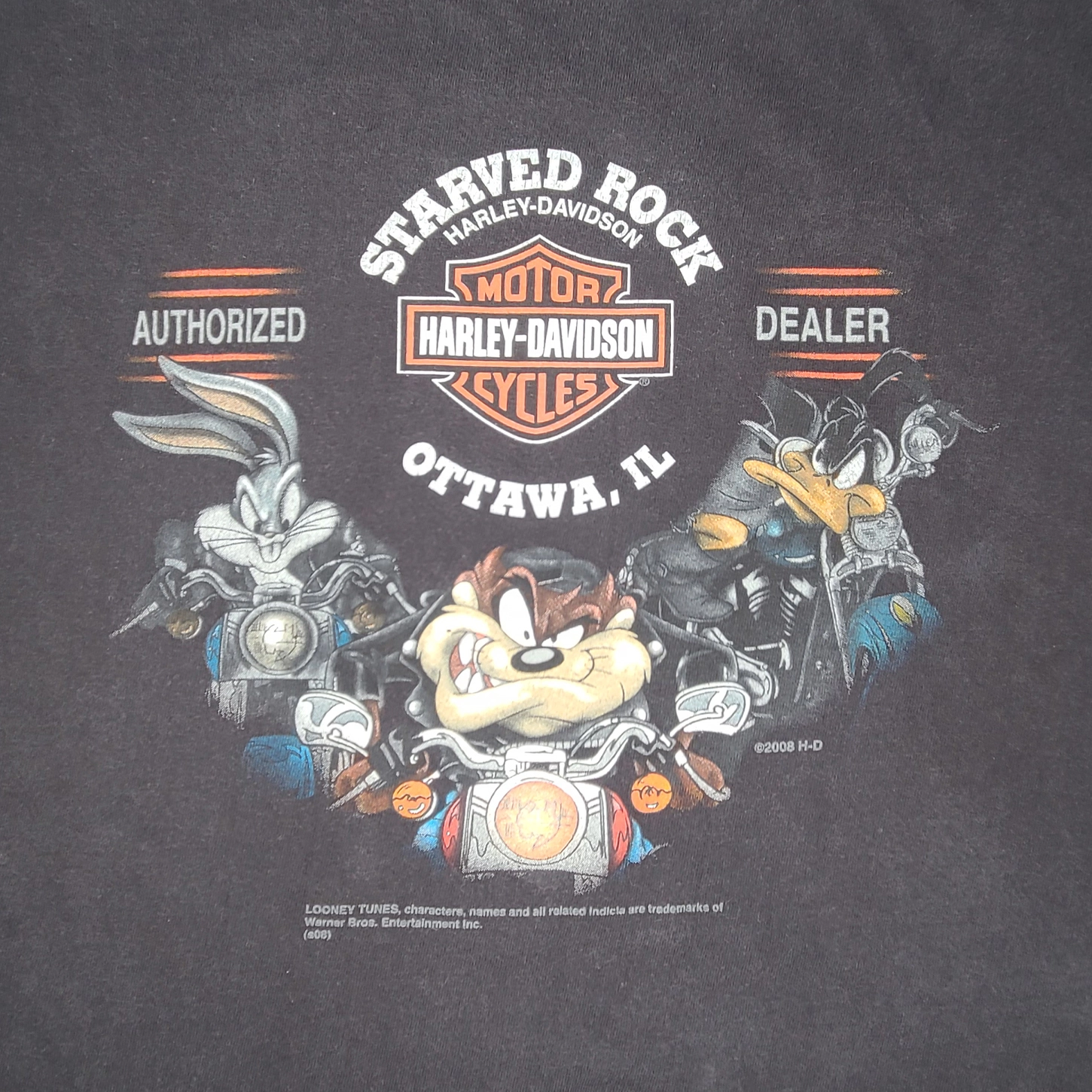 HARLEY DAVIDSON X LOONEY TUNES (2008) - SPEEDING WILE E. COYOTE