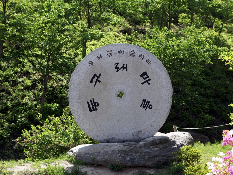 Collection image