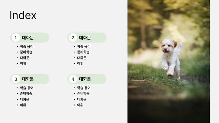 기획전 이미지