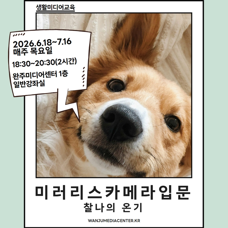 기획전 이미지