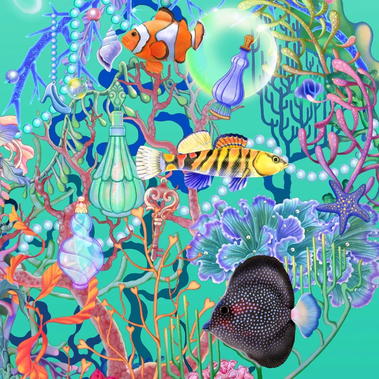 Collection image