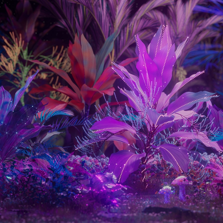 Collection image