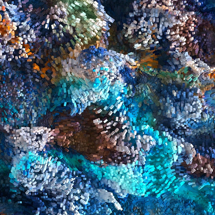 Collection image