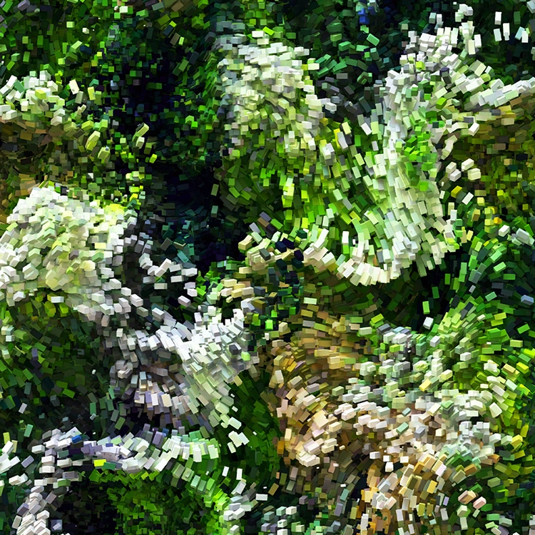 Collection image