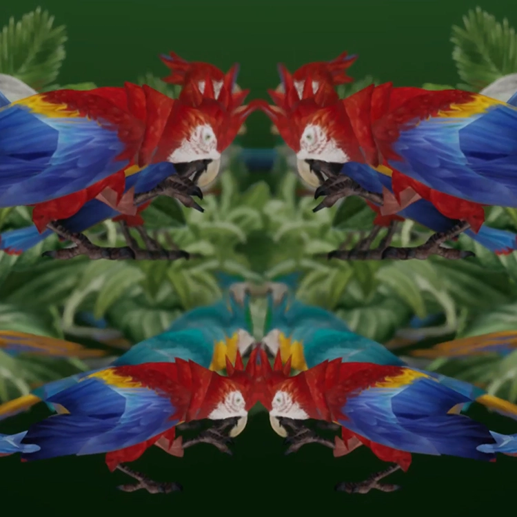 Collection image