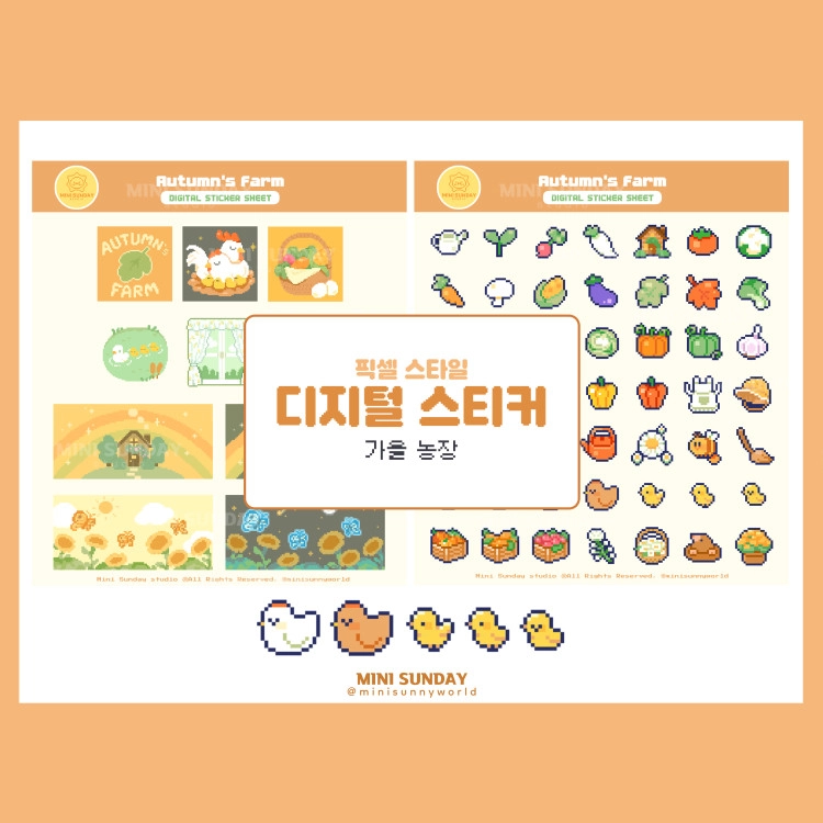 기획전 이미지