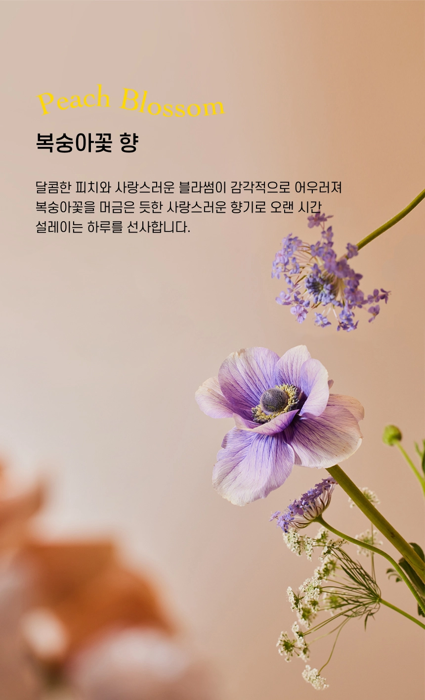 더마이드 4.0 헤어팩 프로테인 퀀치 상세 이미지